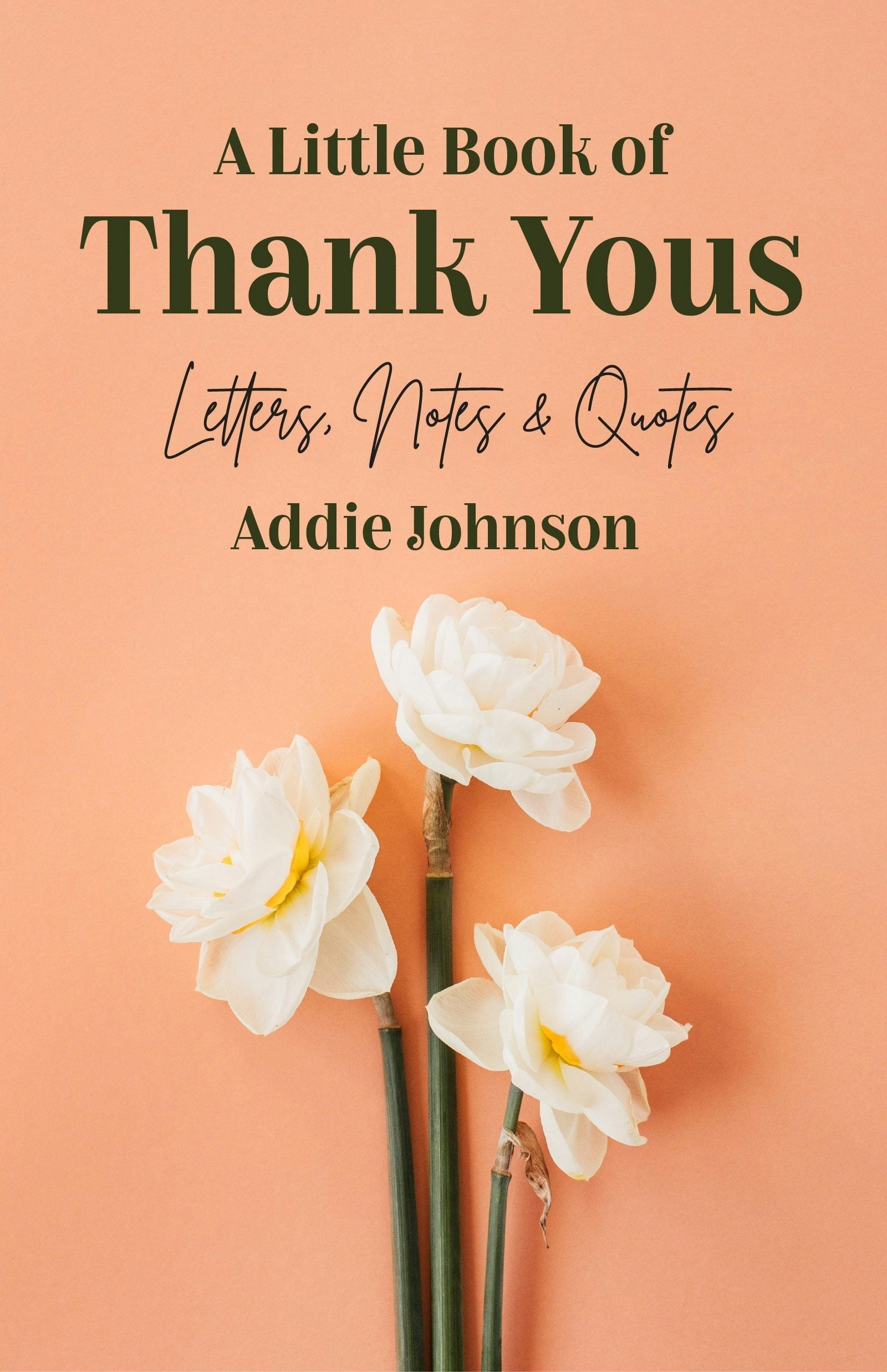Book cover image for A Little Book of Thank Yous ISBN: 9781642504286